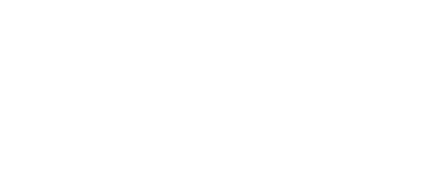 ANNZI, מותג של אן זיוי